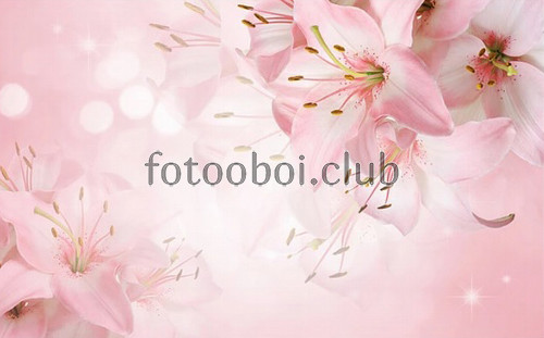 лилии, розовые, дизайнерские, 3д, 3d